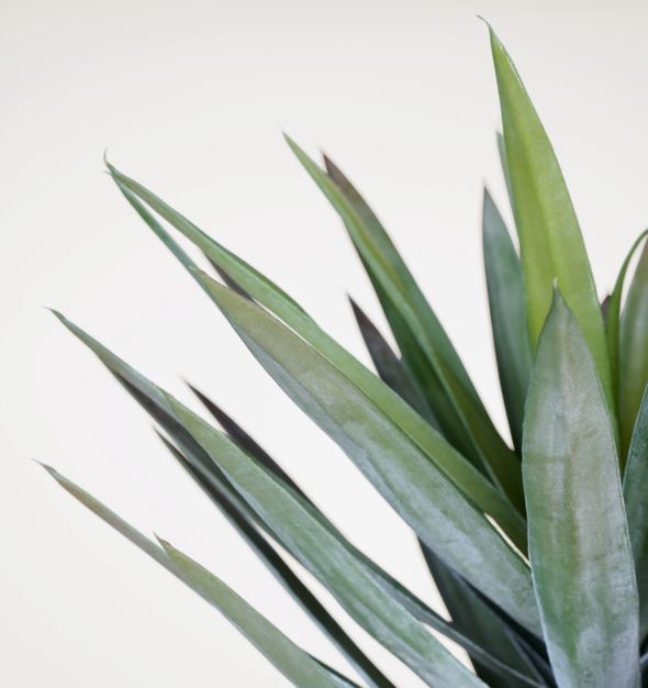 Konstgjord växt grön - 2